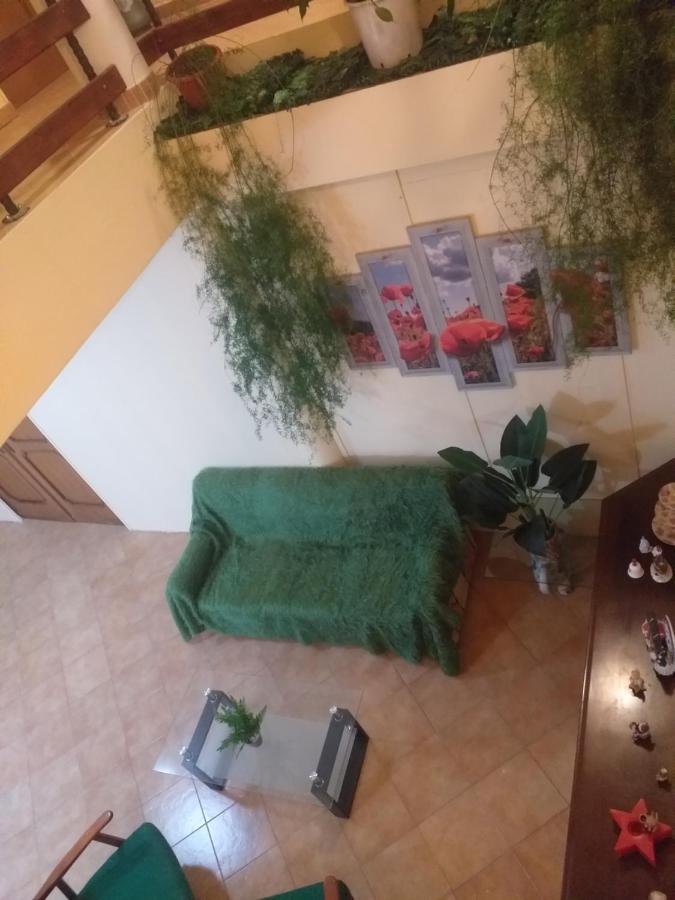 לינה וארוחת בוקר נגרשטי-אואש Casa Maria מראה חיצוני תמונה