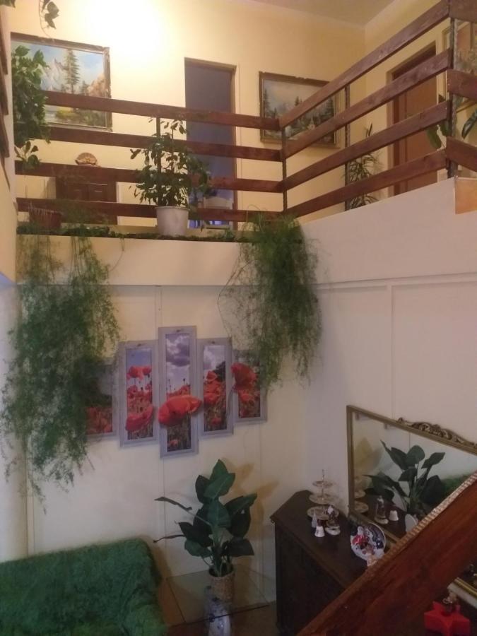 לינה וארוחת בוקר נגרשטי-אואש Casa Maria מראה חיצוני תמונה